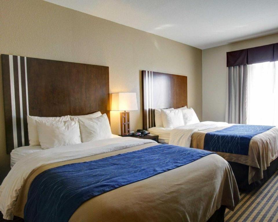 Comfort Inn & Suites Navasota Eksteriør bilde