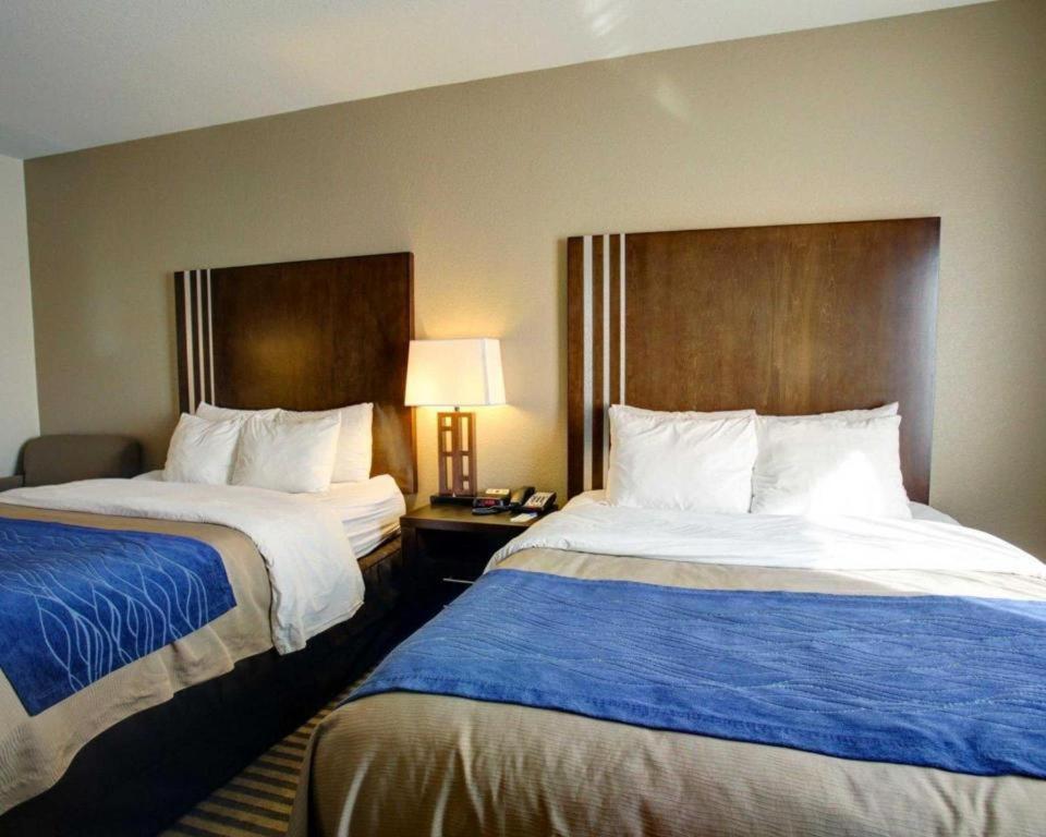 Comfort Inn & Suites Navasota Eksteriør bilde