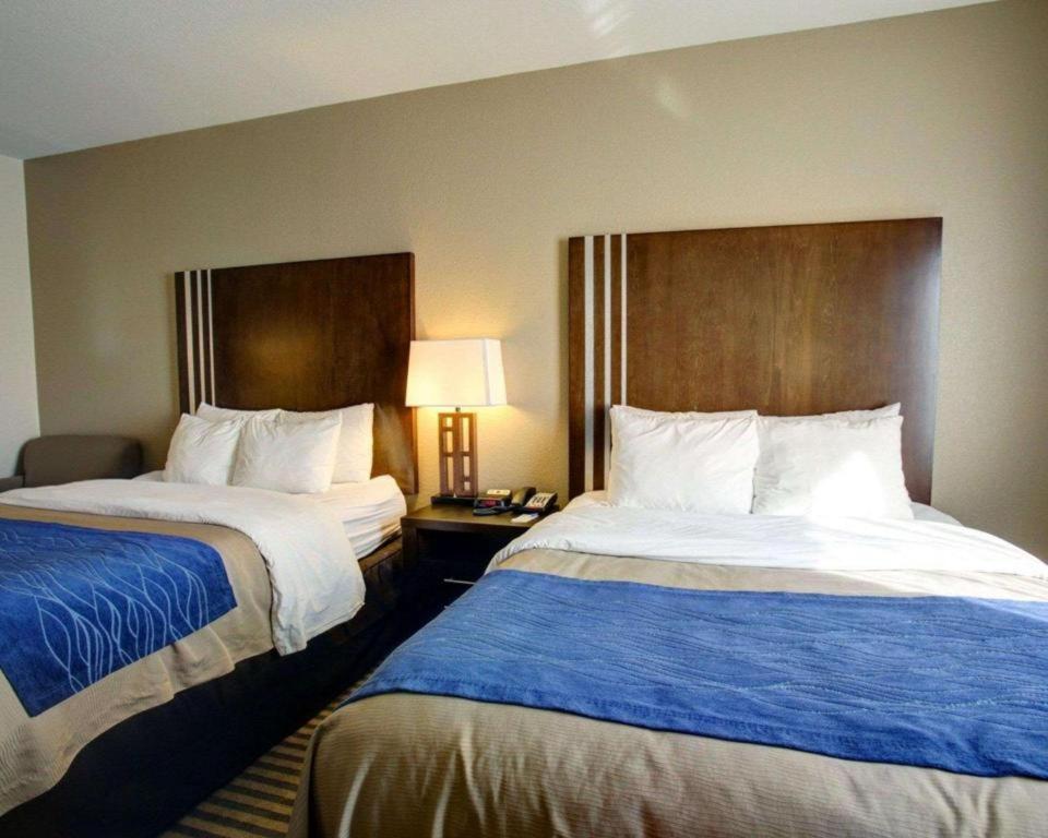 Comfort Inn & Suites Navasota Eksteriør bilde