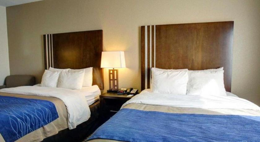 Comfort Inn & Suites Navasota Eksteriør bilde